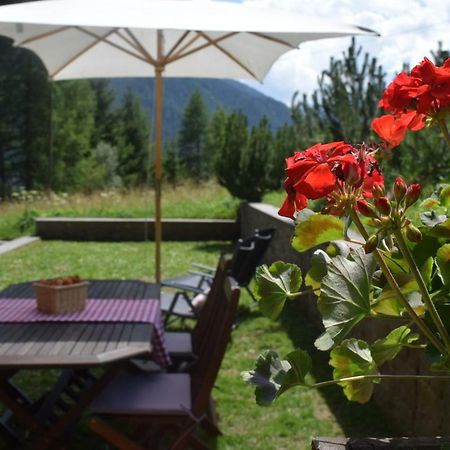 Chalet Do Costa Pozza di Fassa Exterior photo
